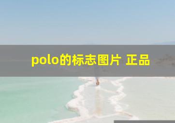 polo的标志图片 正品